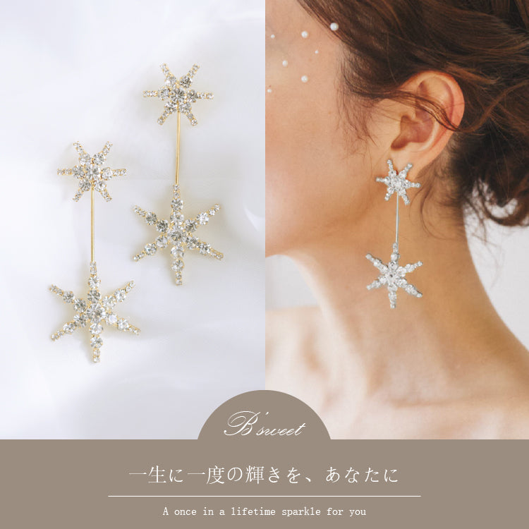 【ac228mo】ツインスターズピアス