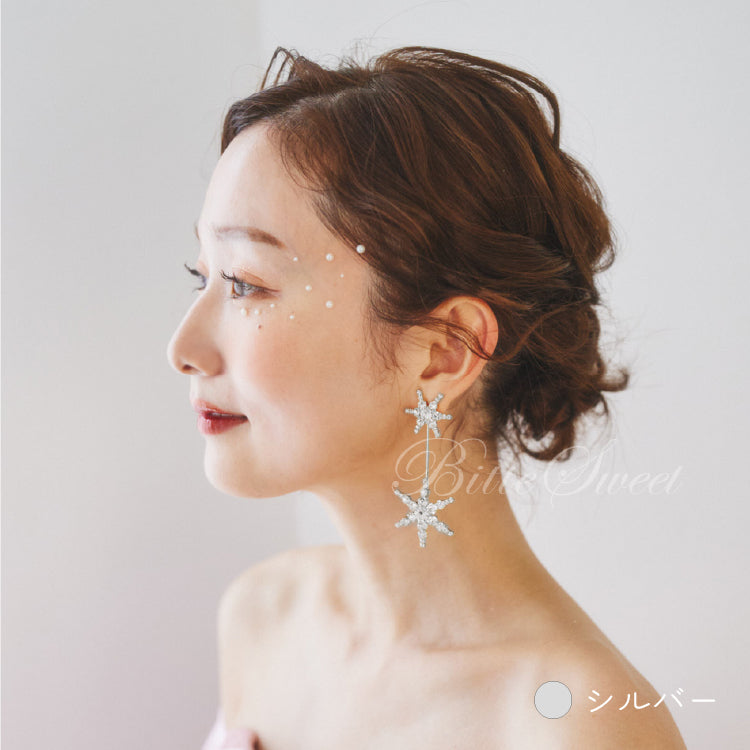 【ac228mo】ツインスターズピアス